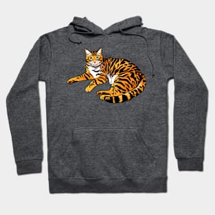 Tiger Tabby Laying Hoodie